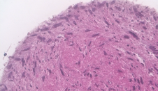 Featured image of the post